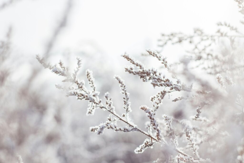 Winter-Pflege mit Trinity
